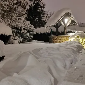 Otel Petri, Münih